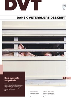 Nr. 3