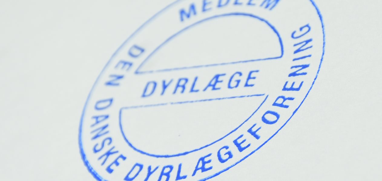 Frit foreningsvalg: Et stærkere DDD på nye præmisser | Dansk ...